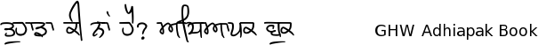Gurmukhi Hand-Written font Adhiapak free download