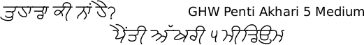 Gurmukhi Hand-Written font Penti Akhari free download