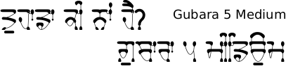 Gubara Medium font Gurmukhi free download