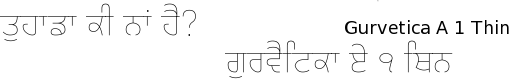 Gurvetica A1 font gurmukhi free download