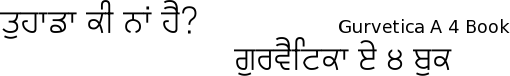 Gurvetica A4 font gurmukhi free download