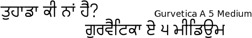 Gurvetica A5 font gurmukhi free download