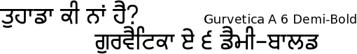 Gurvetica A6 font gurmukhi free download