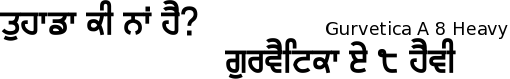 Gurvetica A8 font gurmukhi free download