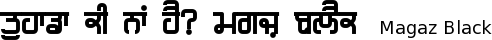 Magaz fonts gurmukhi free download