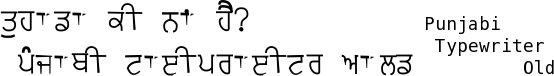 Punjabi-Typewriter-Old font gurmukhi free download