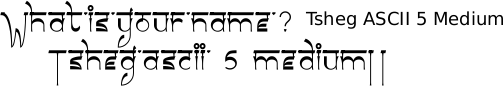Tsheg ascii 5 Medium font Gurmukhi free download